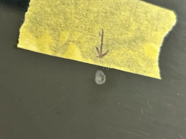 複数角度からの撮影